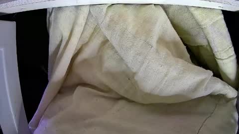 Snapshot of walltazv chatting on 25, 4, 2026 Kentaro online show from 25, 4, 2026