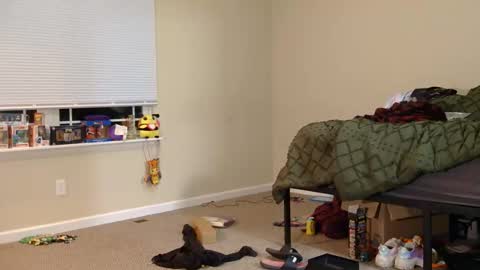 COSMOxWANDA online show from 3, 3, 2026