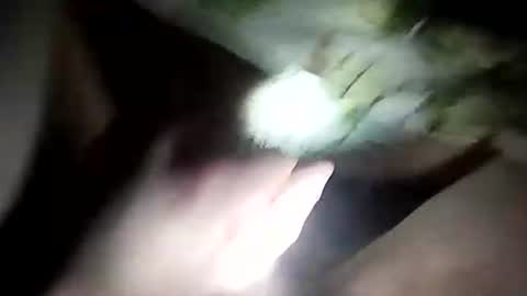 Snapshot of wariatos3 chatting on 10, 1, 2025 wariatos3 online show from 10, 1, 2025