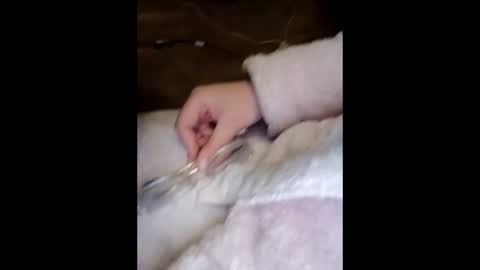 Marina online show from 23, 3, 2026