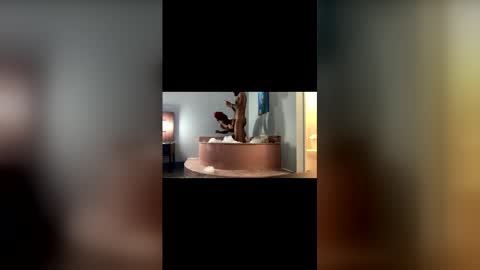 Mrmrs VIP online show from 19, 3, 2026