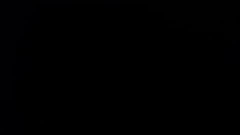 wellingtont online show from 21, 9, 2025