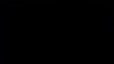 wellingtont online show from 26, 11, 2025