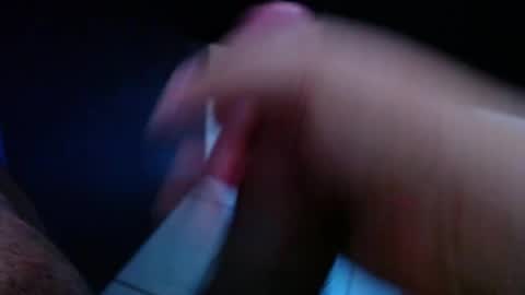 wellingtont online show from 1, 4, 2026