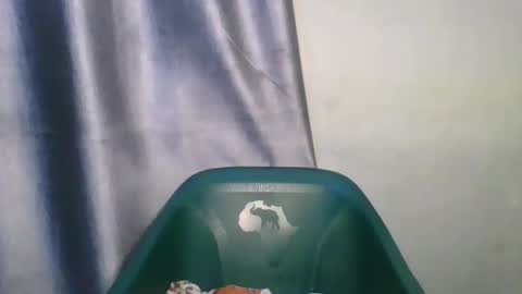 Snapshot of wetfatpussy_ chatting on 12, 2, 2026 wetfatpussy_ online show from 12, 2, 2026