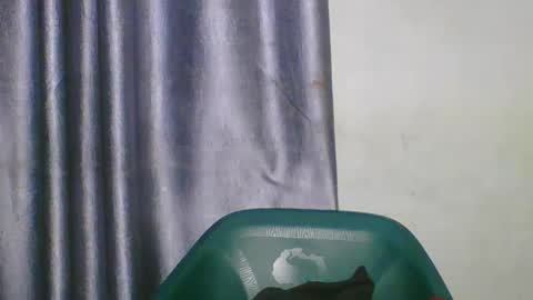 Snapshot of wetfatpussy_ chatting on 5, 3, 2026 wetfatpussy_ online show from 5, 3, 2026