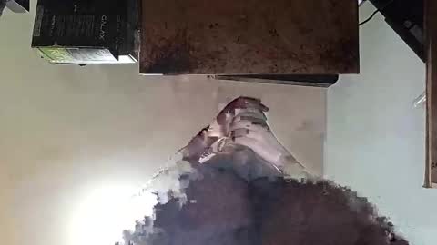 Snapshot of whatsexo chatting on 19, 9, 2025 whatsexo online show from 19, 9, 2025