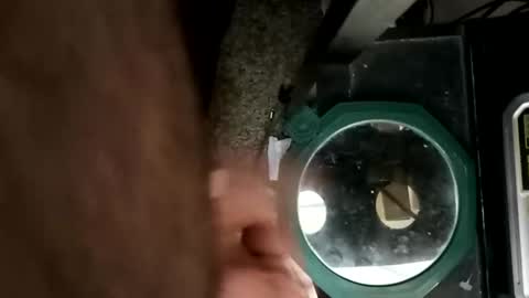 Snapshot of whetedoyouwantmetoputit chatting on 10, 3, 2026 whetedoyouwantmetoputit online show from 10, 3, 2026