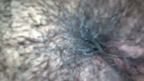 white_sexy_ online show from 21, 9, 2025