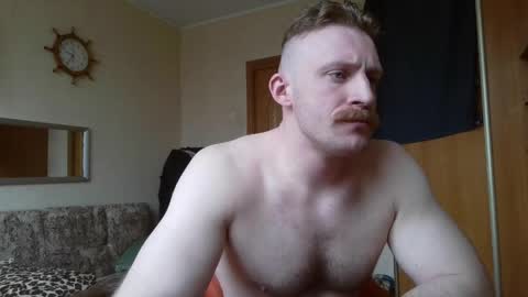 WhiteBull online show from 3, 4, 2026