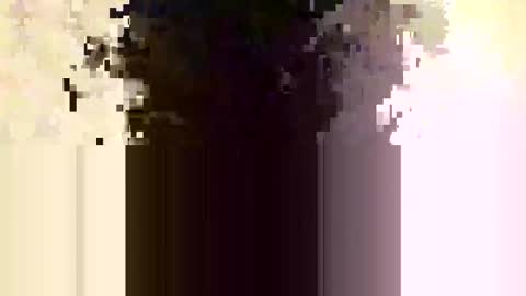 whitedood432 online show from 28, 11, 2025