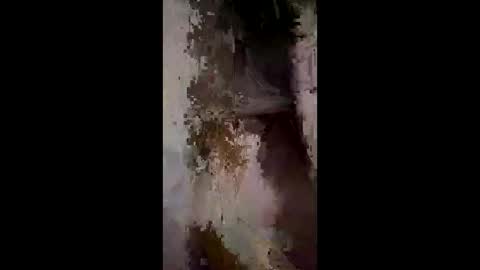 Snapshot of whitelava_4u chatting on 2, 12, 2025 whitelava_4u online show from 2, 12, 2025