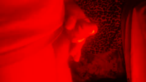 whor4mor online show from 27, 12, 2024