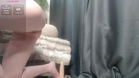 wiagra online show from 23, 9, 2025