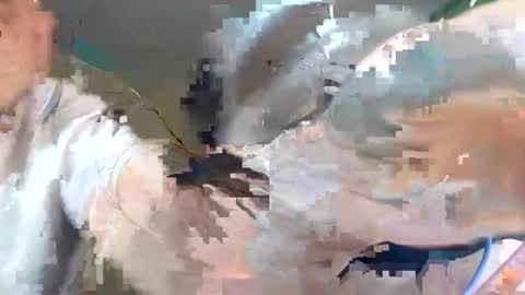 WikiBitch online show from 10, 10, 2025