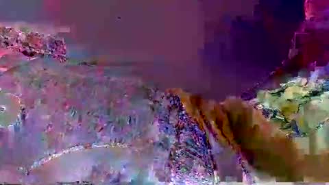 wild lemont online show from 29, 9, 2025