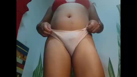 Snapshot of wild_pamela chatting on 8, 10, 2025 loving trans Pamela online show from 8, 10, 2025
