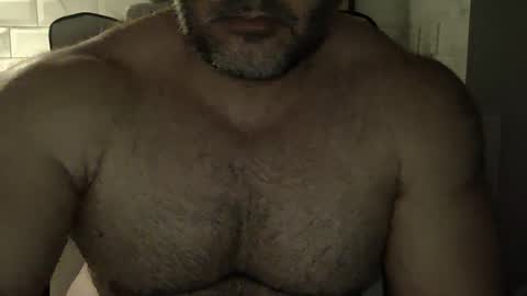 Snapshot of wildjohn_xx chatting on 17, 12, 2025 WildJohn XX online show from 17, 12, 2025