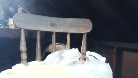 Snapshot of wildman6 chatting on 8, 2, 2025 wildman6 online show from 8, 2, 2025