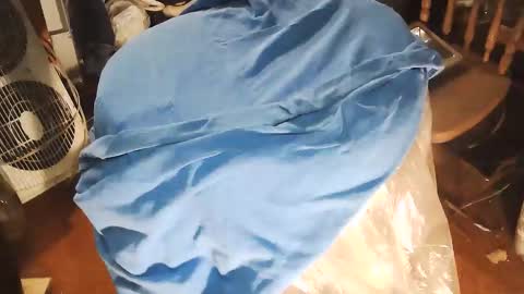 wildman6 online show from 10, 1, 2026