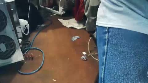 Snapshot of wildman6 chatting on 24, 4, 2026 wildman6 online show from 24, 4, 2026