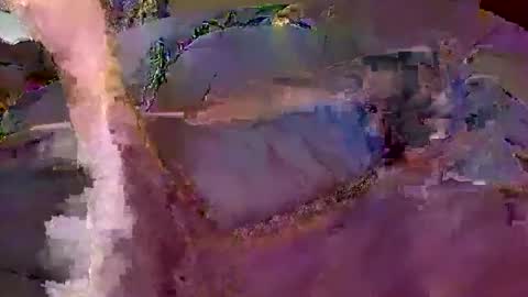 Snapshot of wildmanbobby chatting on 20, 2, 2026 bobby banks online show from 20, 2, 2026