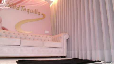 Snapshot of wildtequilla chatting on 11, 3, 2026 Lili online show from 11, 3, 2026