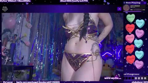 Snapshot of wildwylie chatting on 27, 2, 2026 Wylie Wanderlust online show from 27, 2, 2026