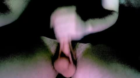 willcox10301 online show from 13, 12, 2024