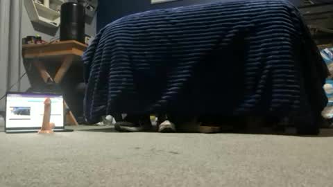 williambisexual online show from 22, 12, 2025