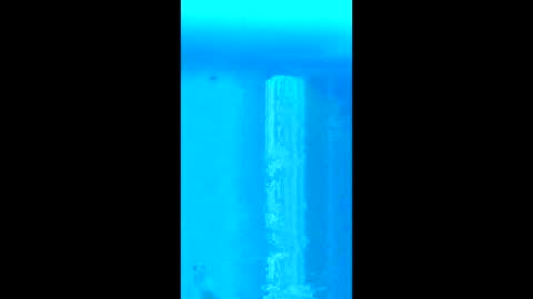 willielowrider online show from 18, 2, 2026