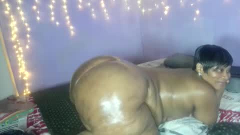 wilmaassylum online show from 12, 10, 2025