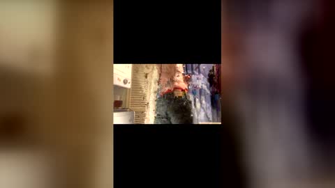 Will online show from 25, 11, 2025