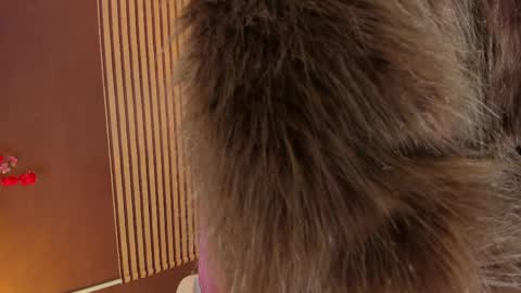 Wini Fer online show from 10, 4, 2026