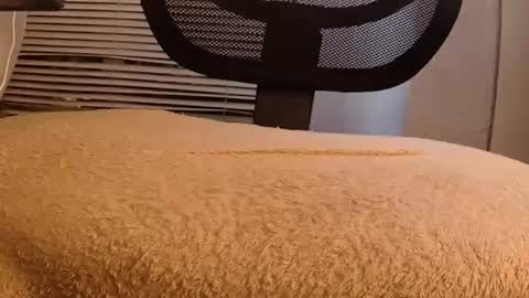 Snapshot of withbothhandsplease chatting on 29, 9, 2025 Mater online show from 29, 9, 2025