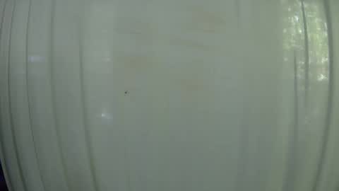 Snapshot of withbothhandsplease chatting on 7, 10, 2025 Mater online show from 7, 10, 2025