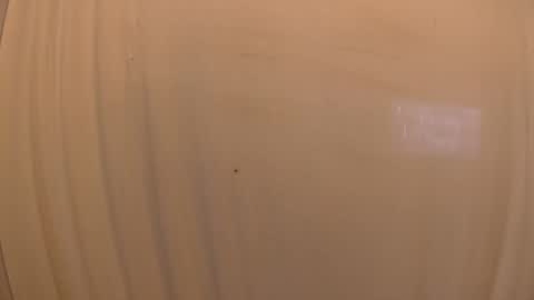 Snapshot of withbothhandsplease chatting on 19, 10, 2025 Mater online show from 19, 10, 2025