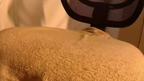 Snapshot of withbothhandsplease chatting on 14, 11, 2025 Mater online show from 14, 11, 2025