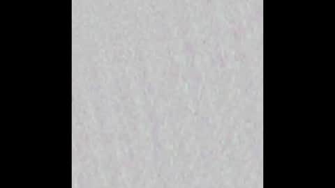 wnhz27 online show from 25, 11, 2025