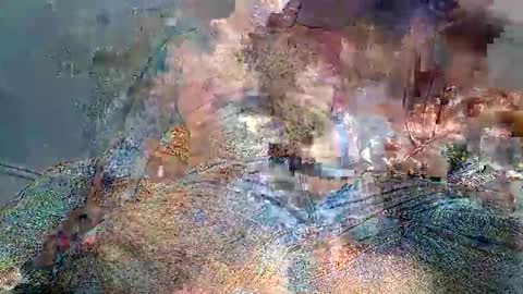 Snapshot of wolfrot chatting on 2, 2, 2026 wolf boy online show from 2, 2, 2026