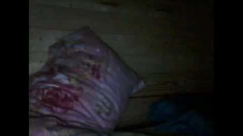 Snapshot of wolfvili chatting on 10, 3, 2026 Vili online show from 10, 3, 2026