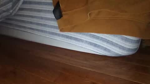 Snapshot of wolfyi chatting on 16, 12, 2024 Sultan Blaze online show from 16, 12, 2024