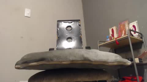 Snapshot of wonderfullight chatting on 2, 12, 2025 SHENIEL RODRIGUEZ online show from 2, 12, 2025