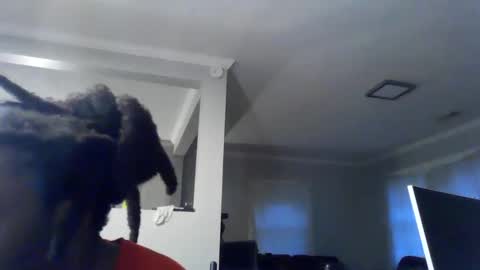 Snapshot of woodpipe69 chatting on 16, 12, 2024 Woodpipe69 online show from 16, 12, 2024