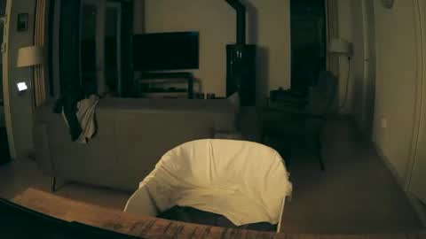 woodwurm and Snoeske online show from 19, 12, 2025