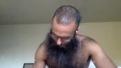 woof_wolf37 online show from 8, 2, 2026