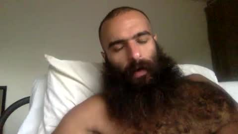 woof_wolf37 online show from 31, 3, 2026