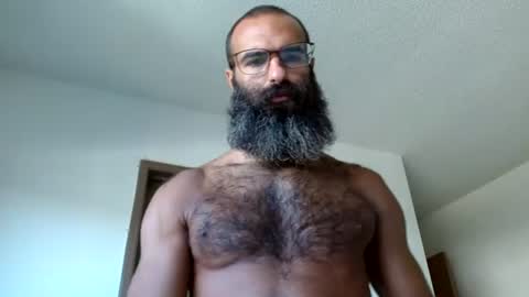 woof_wolf37 online show from 15, 7, 2026