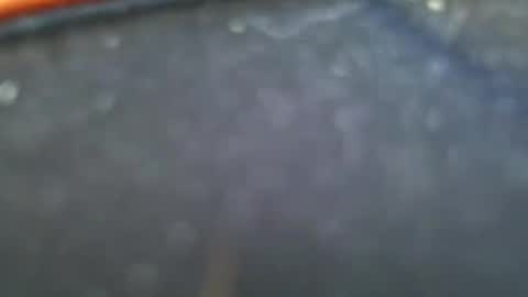 Snapshot of wrangleat0r chatting on 28, 1, 2025 wrangleat0r online show from 28, 1, 2025