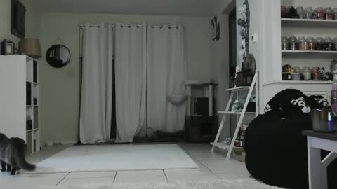 Snapshot of wrenleigh chatting on 3, 1, 2025 Crystal Lake online show from 3, 1, 2025